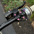 Pink Formula Hand Brake Bolts (Set of 2)